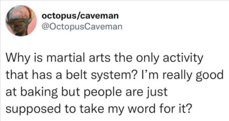 i+want+a+black+belt+in+baking