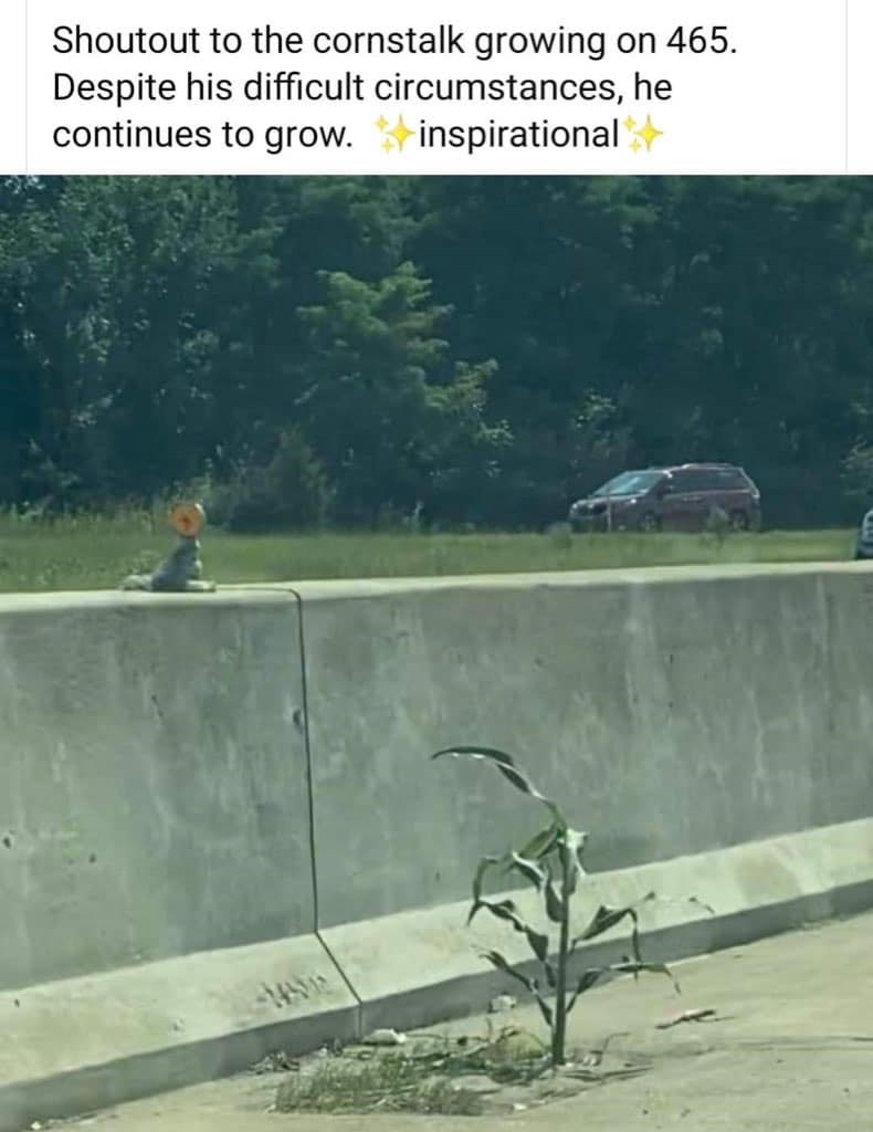 never+give+up+on+yourself