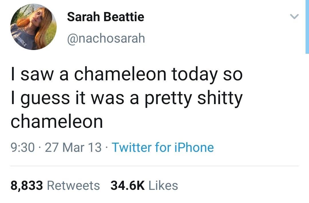 chameleon+fail