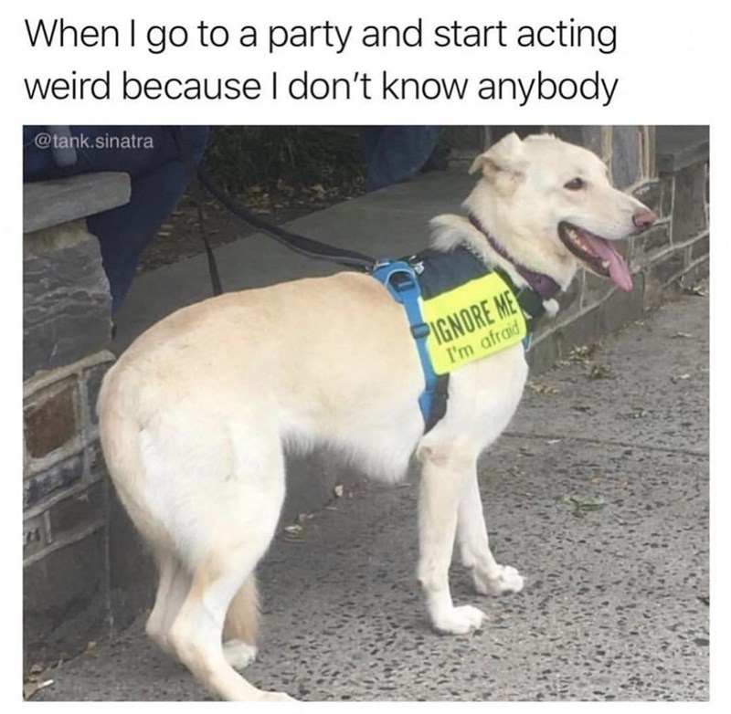 standard+party+operating+procedure