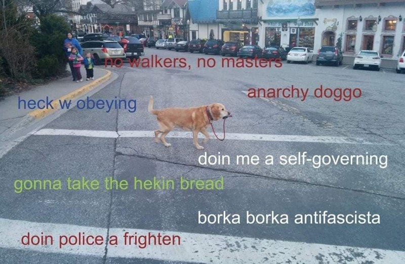 anarchy+doggo