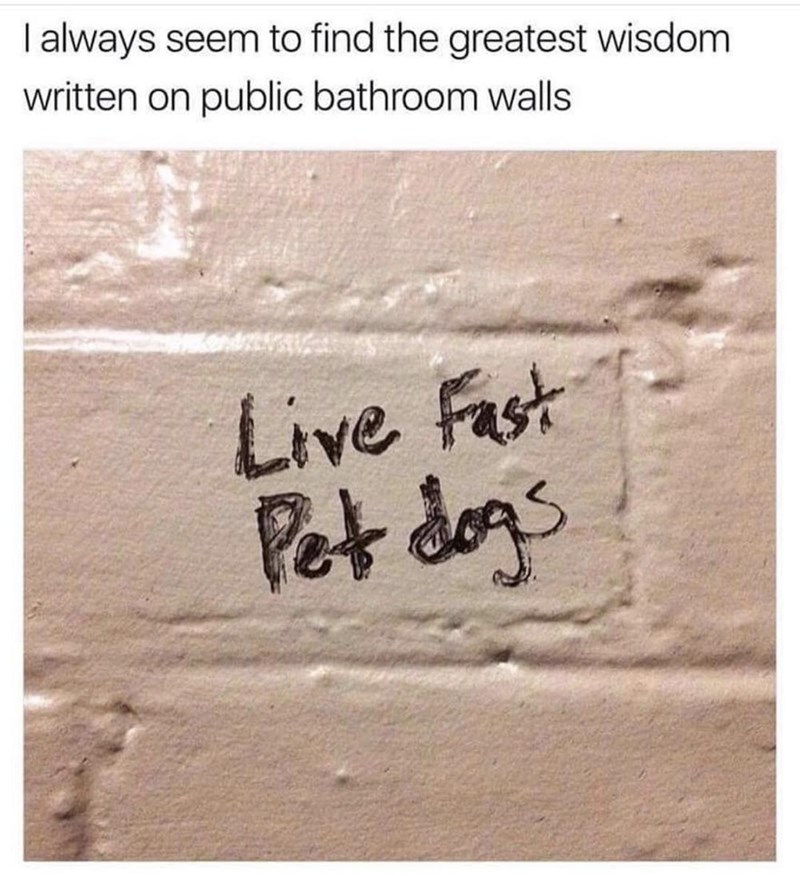 bathroom+wisdom