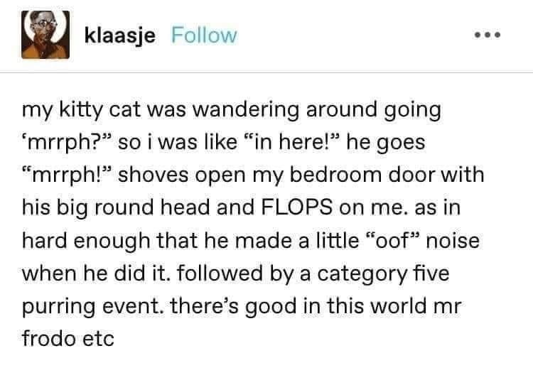 category+5+purring+event