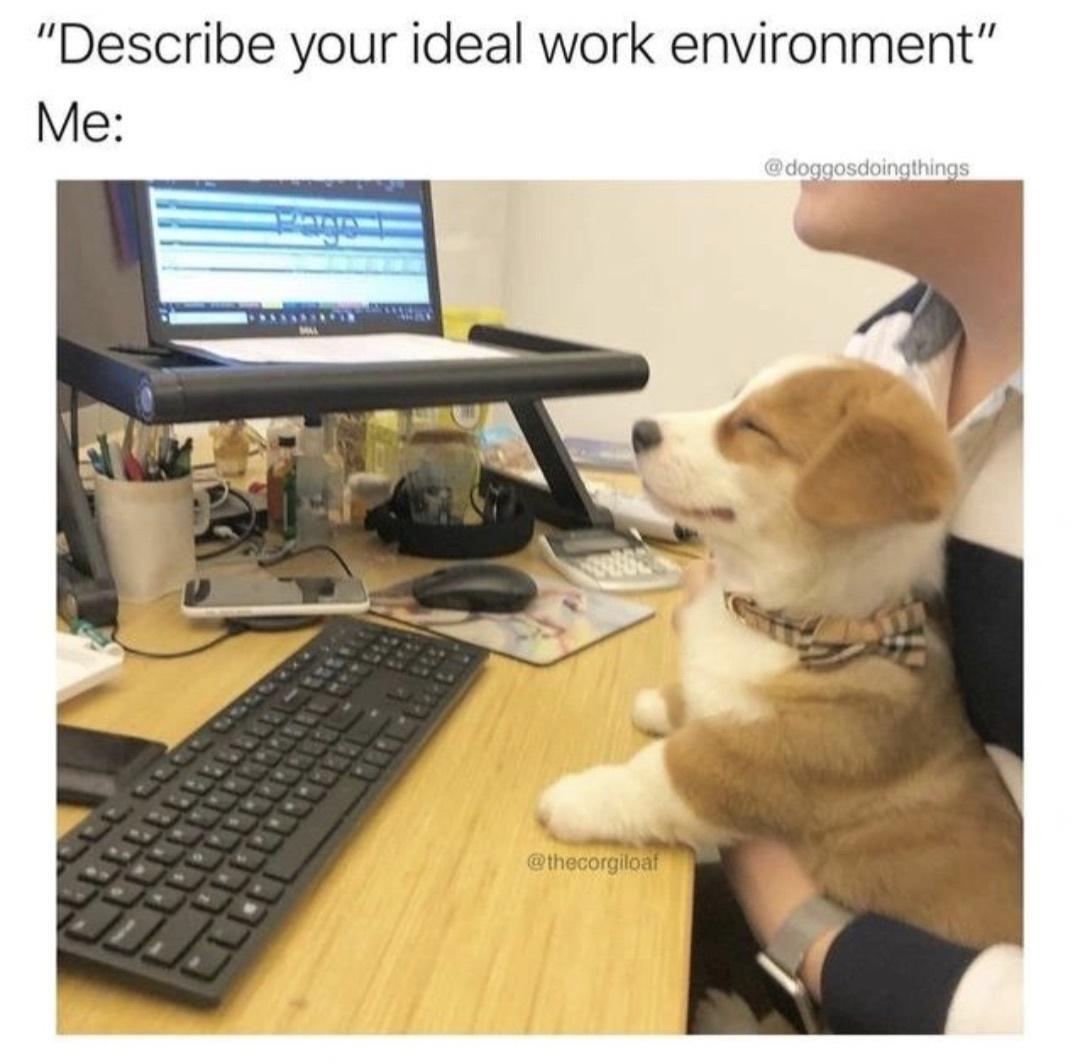 this+is+what+i+mean+when+i+say+%26%238220%3Bideal+work+environment%26%238221%3B