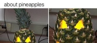 pineapples+are+the+new+pumpkins