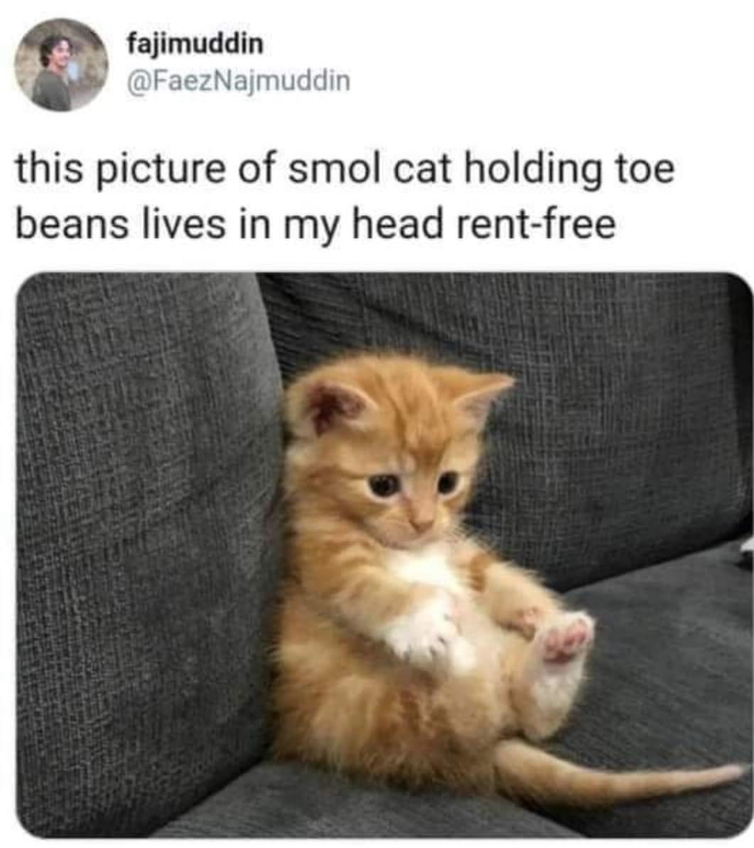 it+discovered+its+toes