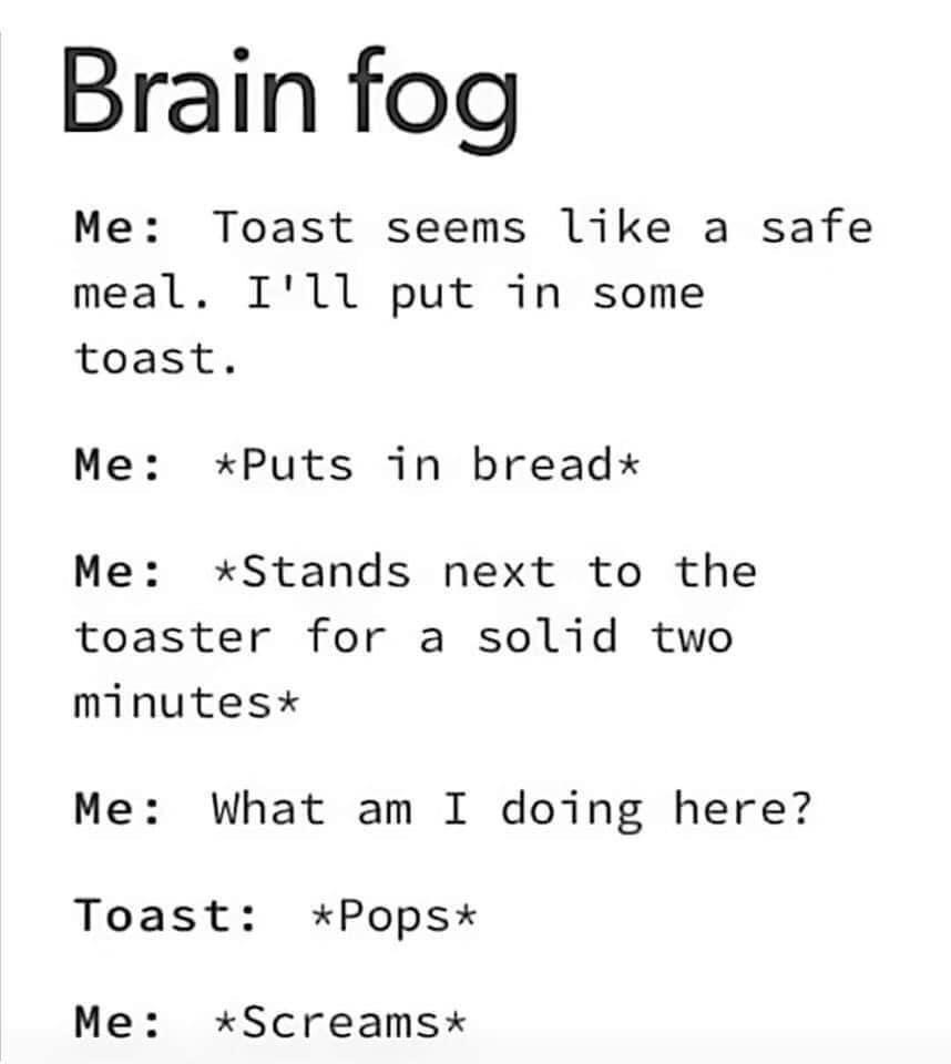toast+is+never+safe