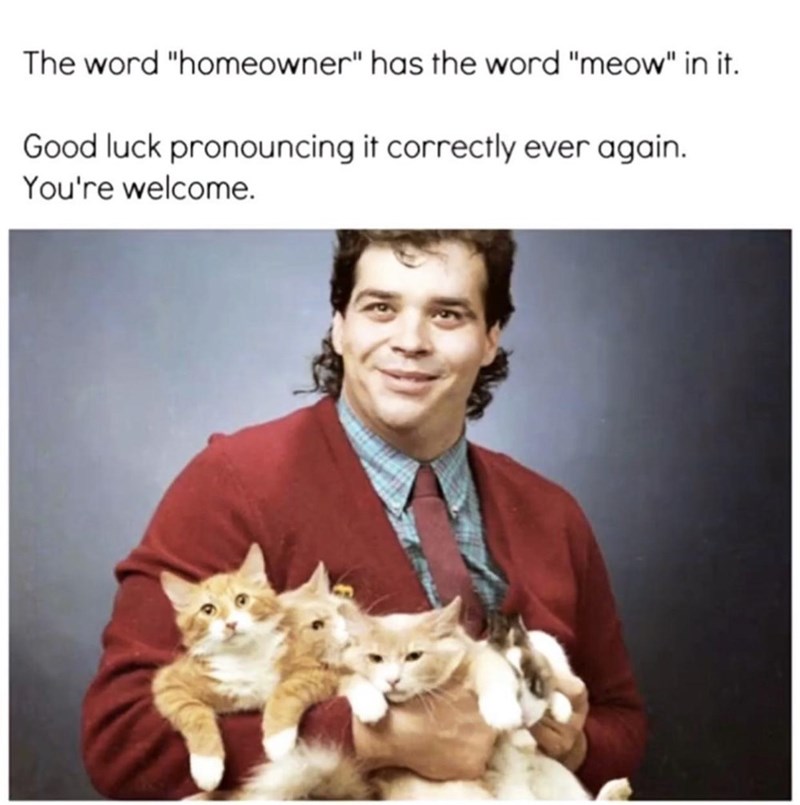 ho-meow-ner