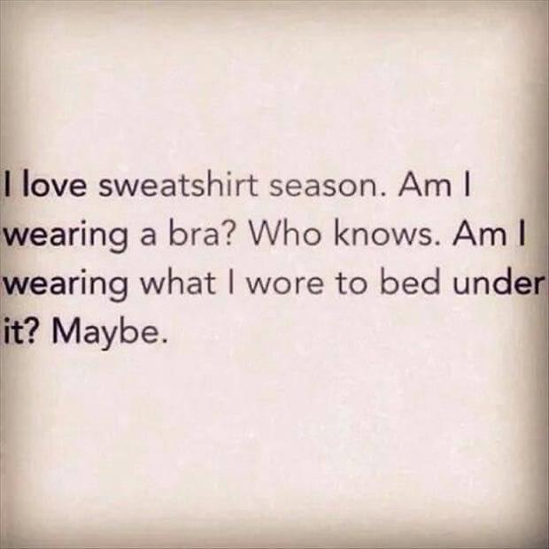 the+joys+of+sweatshirt+season