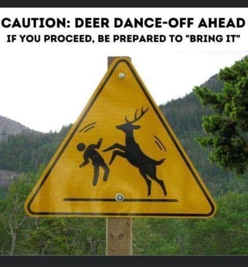 oh+it%26%238217%3Bs+already+been+broughten