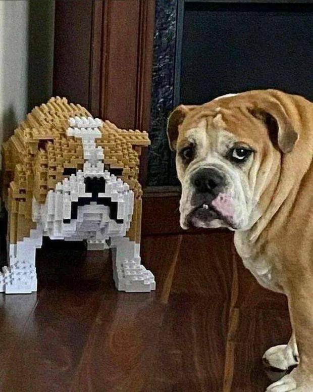 am+i+a+joke+to+you%2C+sharon%3F