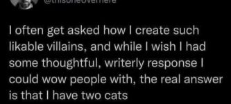 cats+are+the+secret