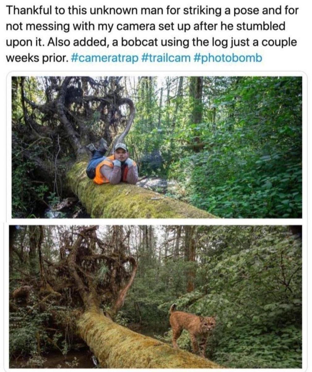 the+best+trailcam+photo+bomb