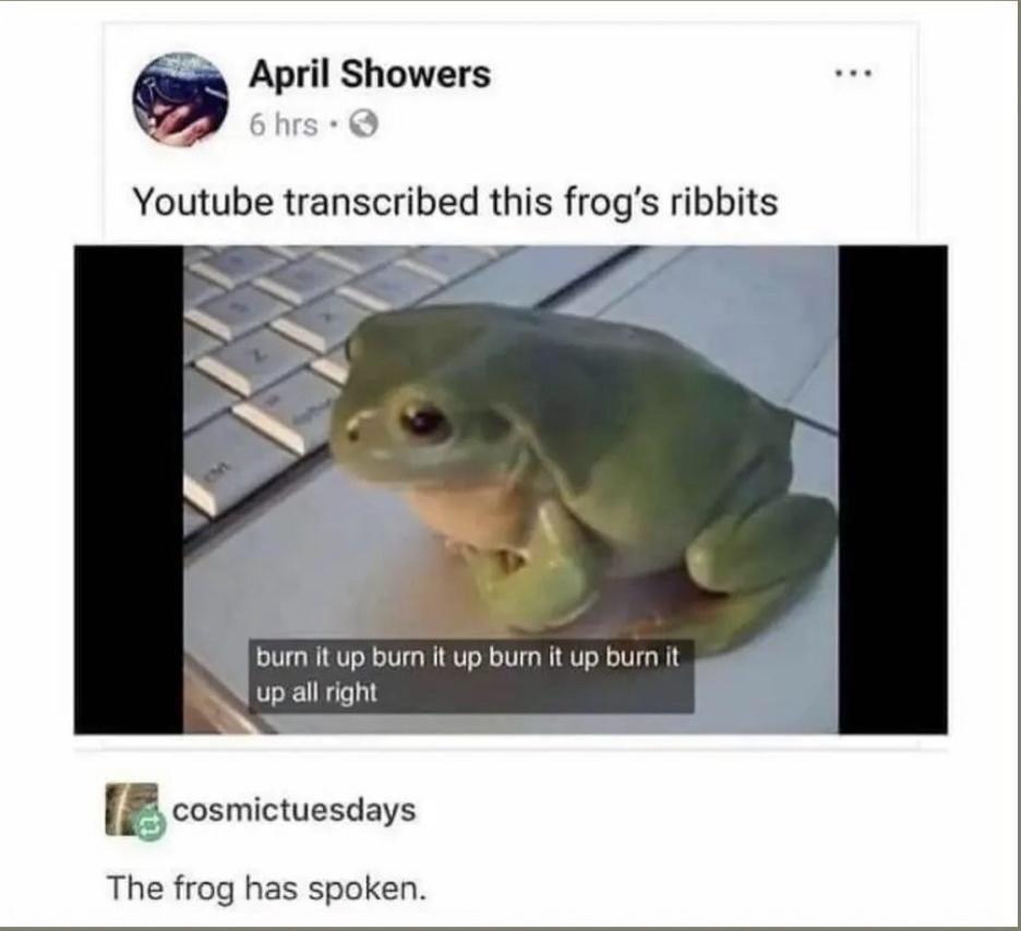 the+frog+has+spoken
