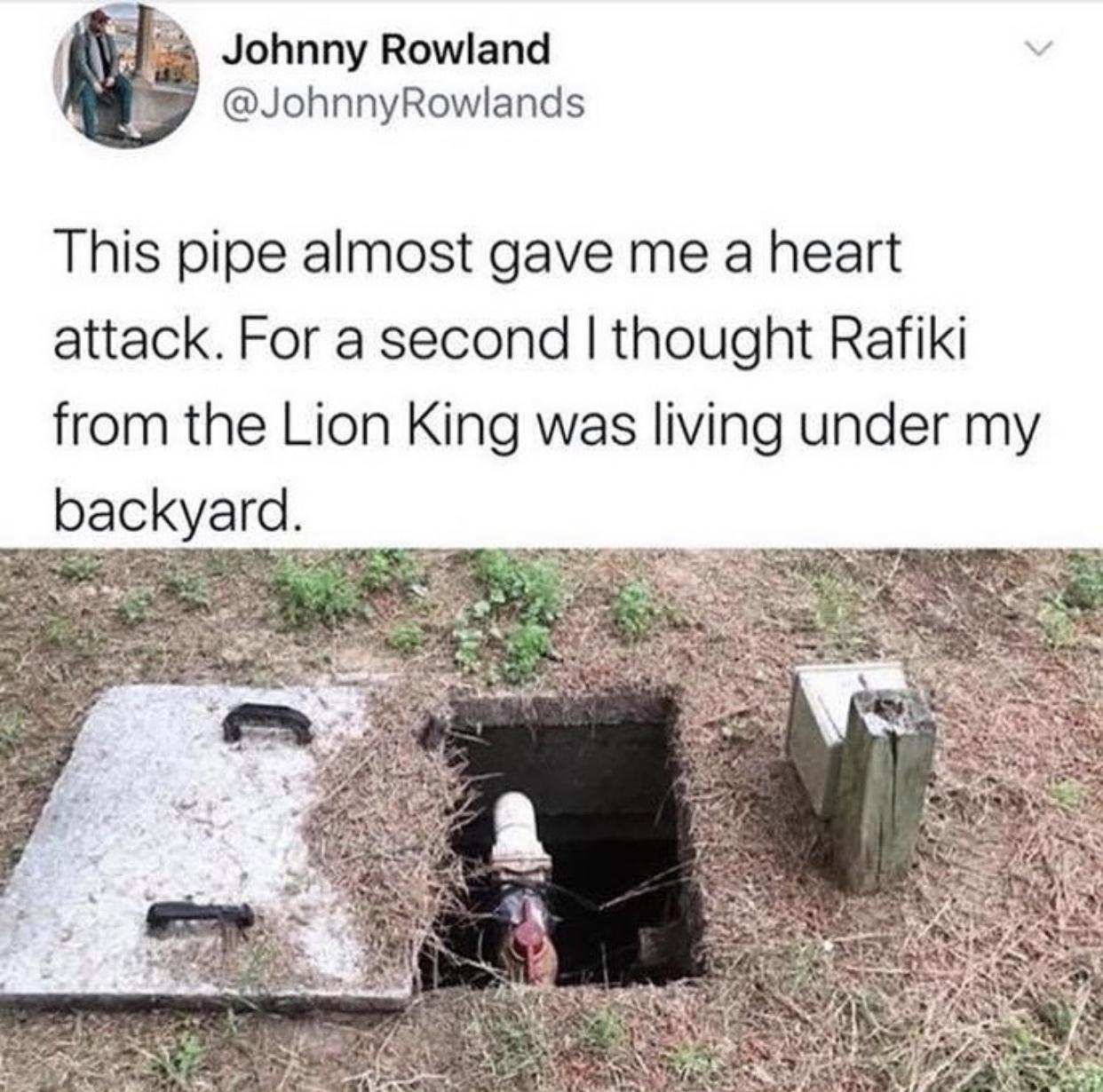 it%26%238217%3Bs+the+circle+of+life