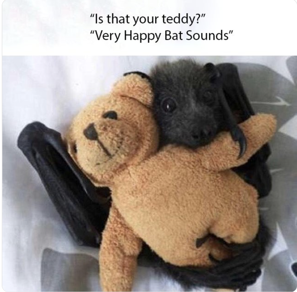 very+happy+bat+sounds