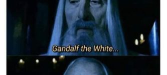 gandalf+the+fool