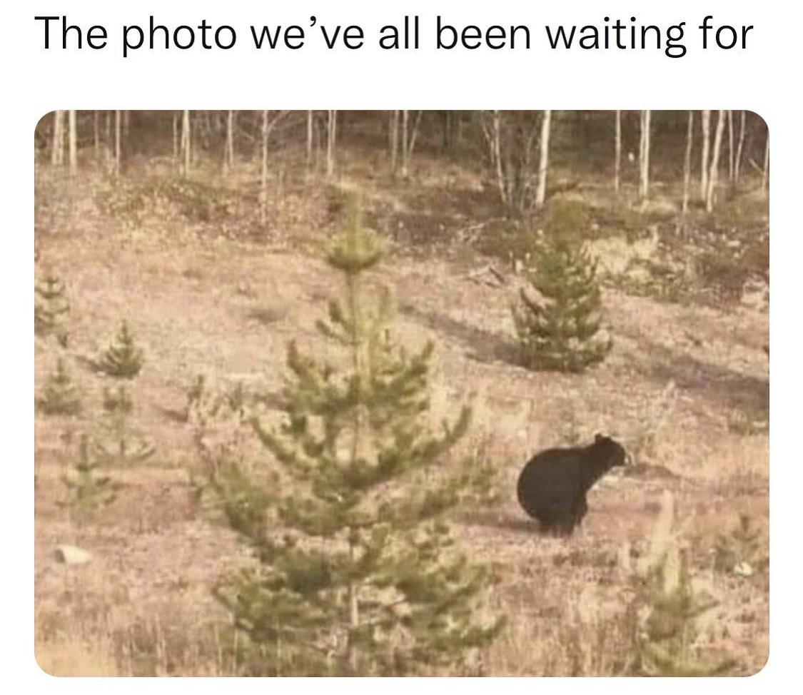 the+most+important+photo+ever+taken