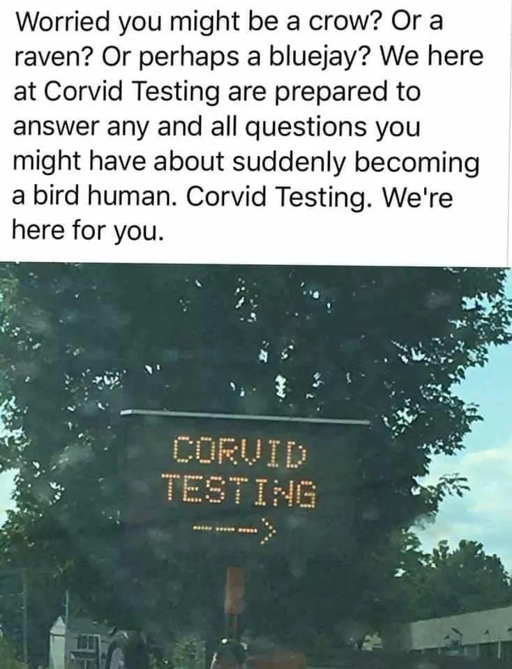 corvid+testing%2C+because+you+know+you+wanna+know
