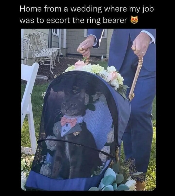 what+a+dapper+gentleman