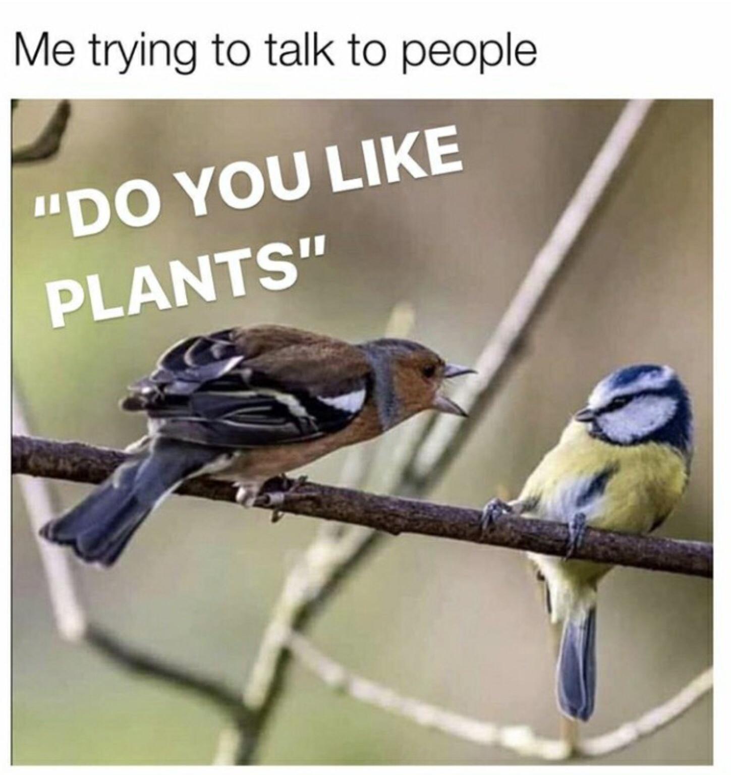 do+you+like+cake%3F%3F%3F