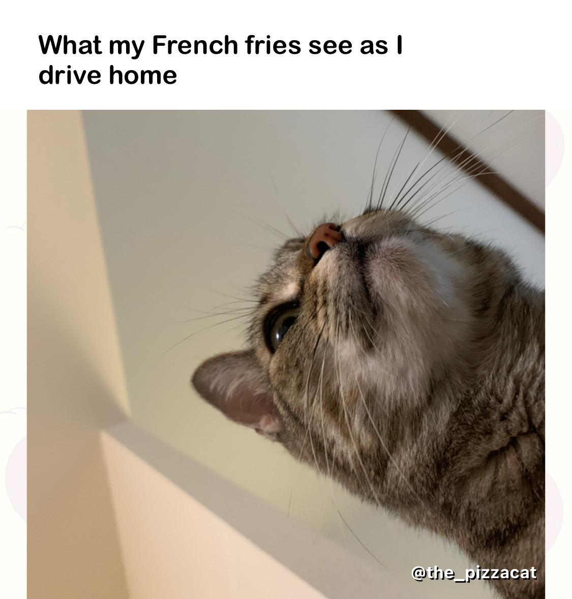 fries+never+actually+make+it+home%2C+though