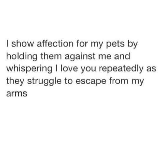true+pet+love
