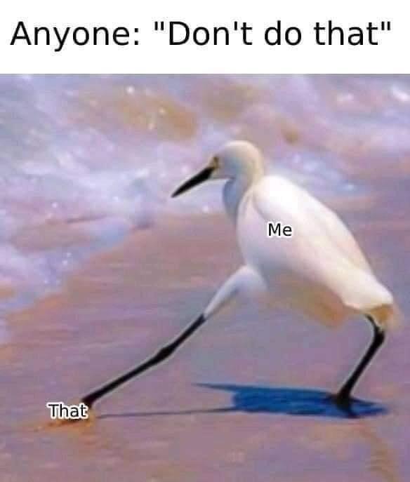 so+i+have+a+confession+to+make