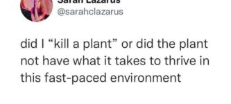 the+plant+didn%26%238217%3Bt+have+what+it+takes