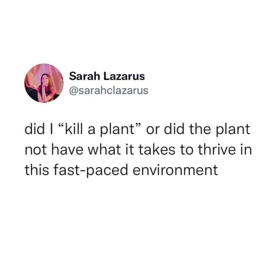 the+plant+didn%26%238217%3Bt+have+what+it+takes