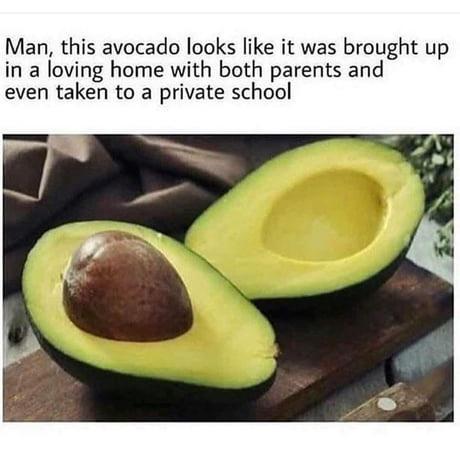 a+perfectly+well-adjusted+avocado