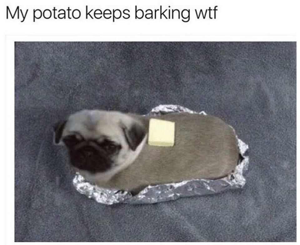 barked+potato