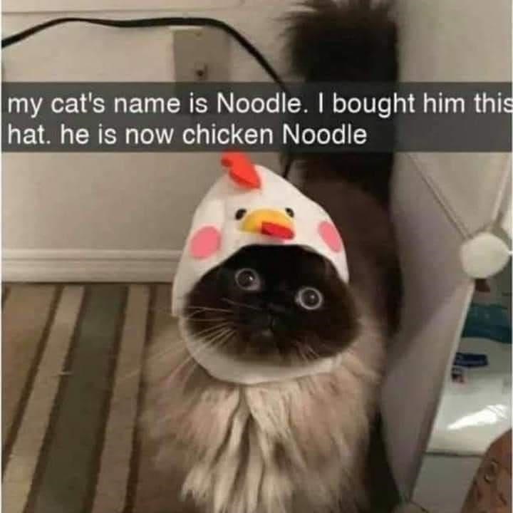 chicken+noodle