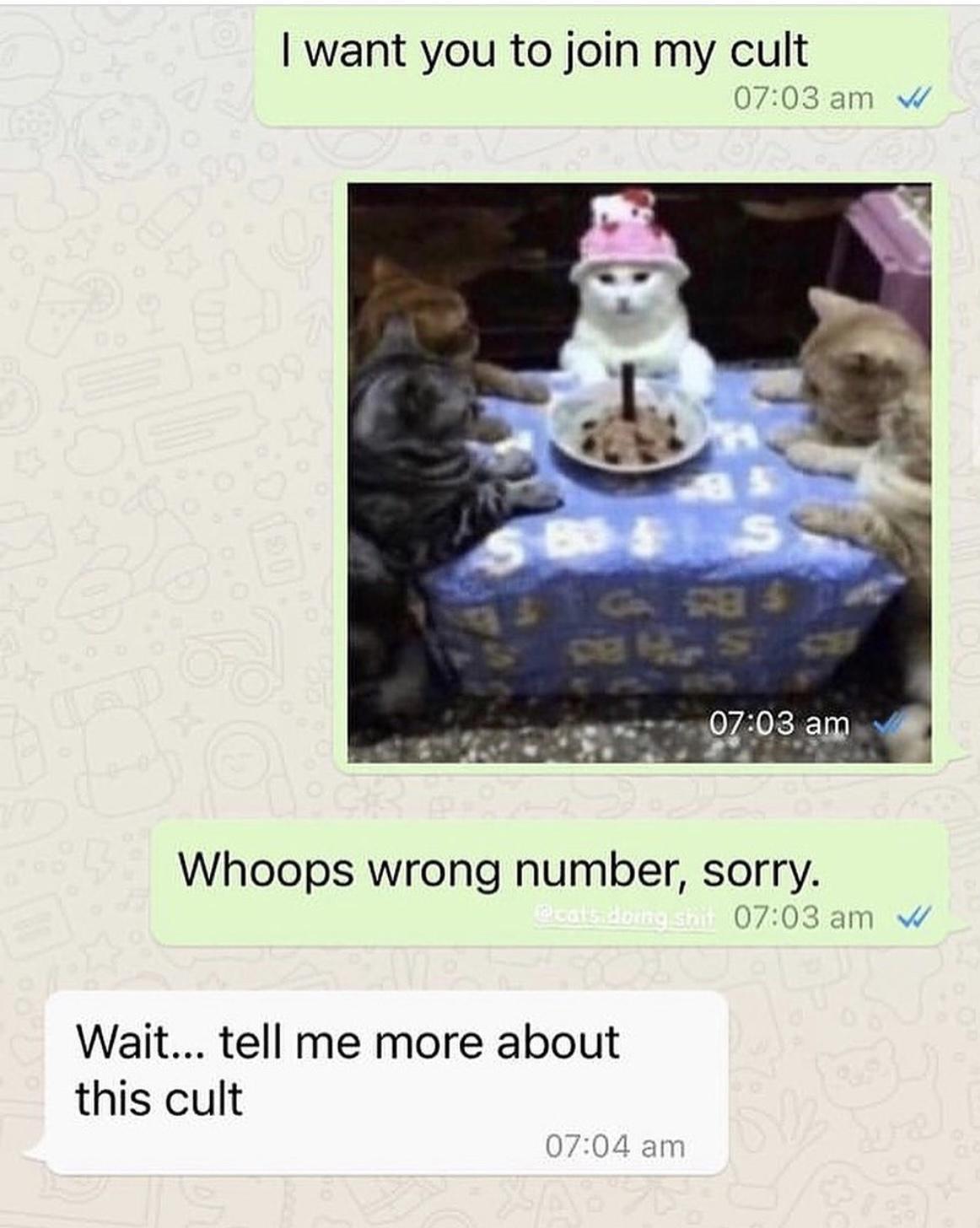 i%26%238217%3Bm+interested+in+your+cult