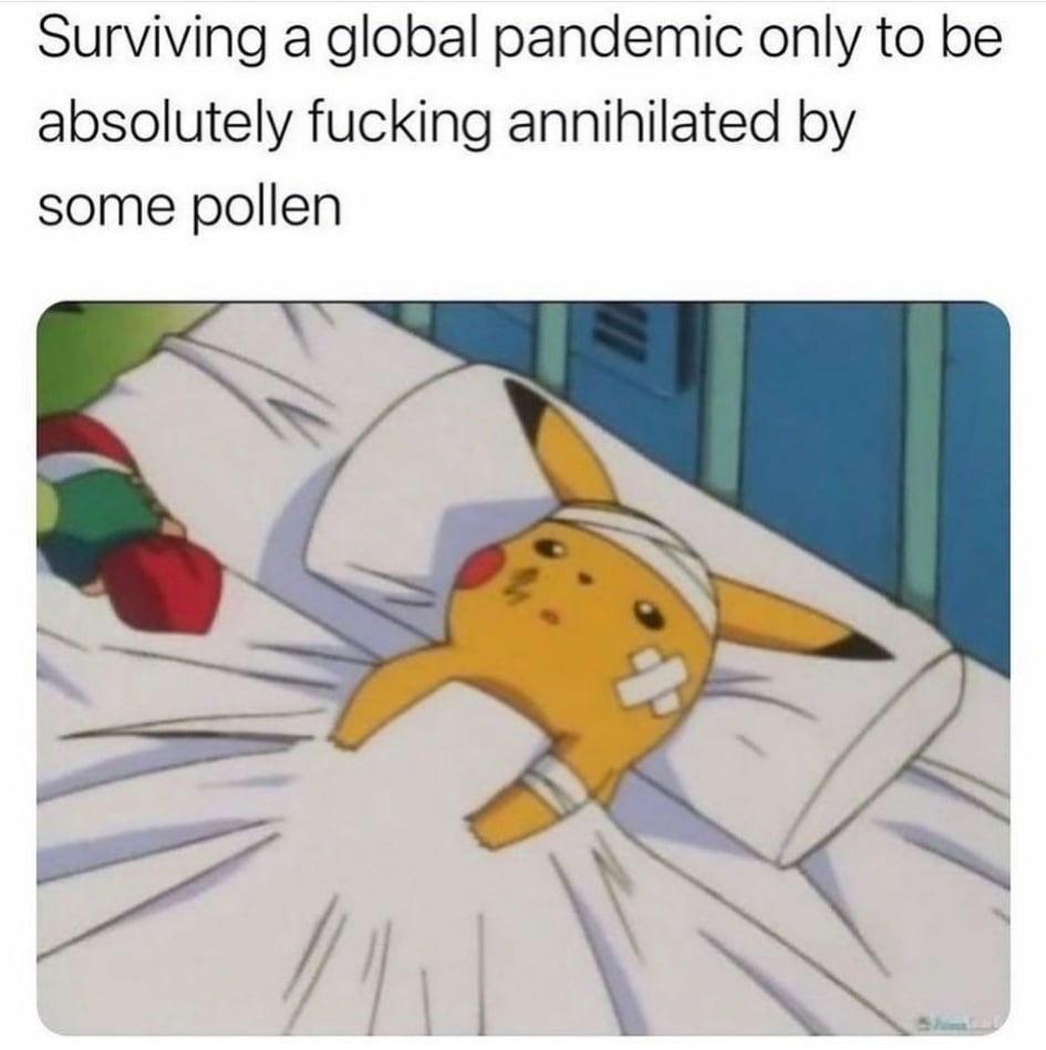 allergy+season+is+the+real+pandemic