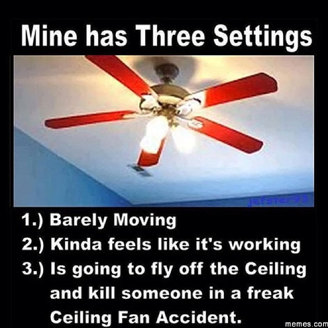 the+three+settings
