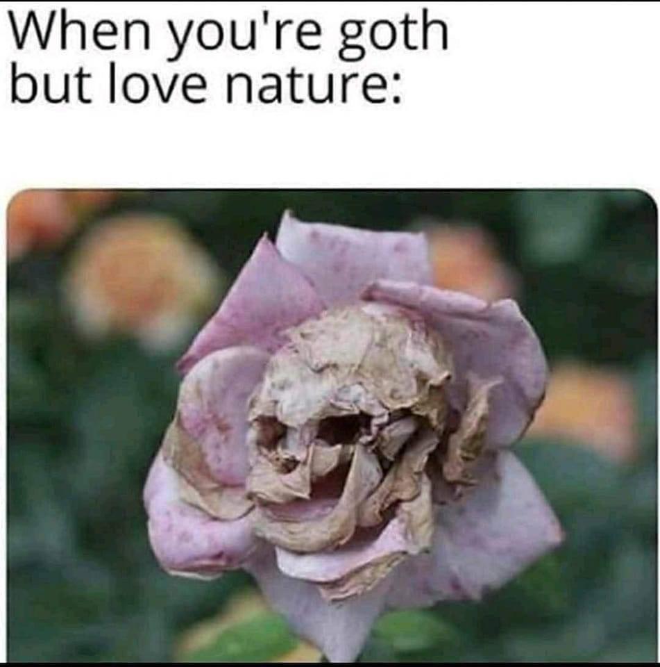 this+flower+is+so+metal