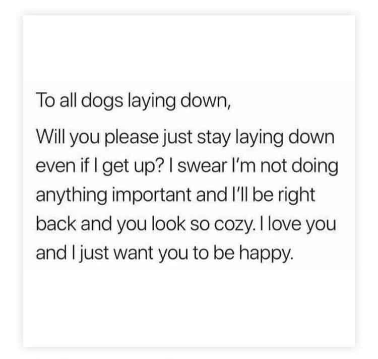 just+stay+down+if+it+makes+you+happy