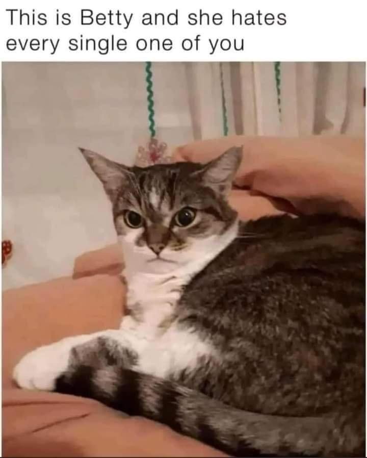 let+the+hate+flow+through+you