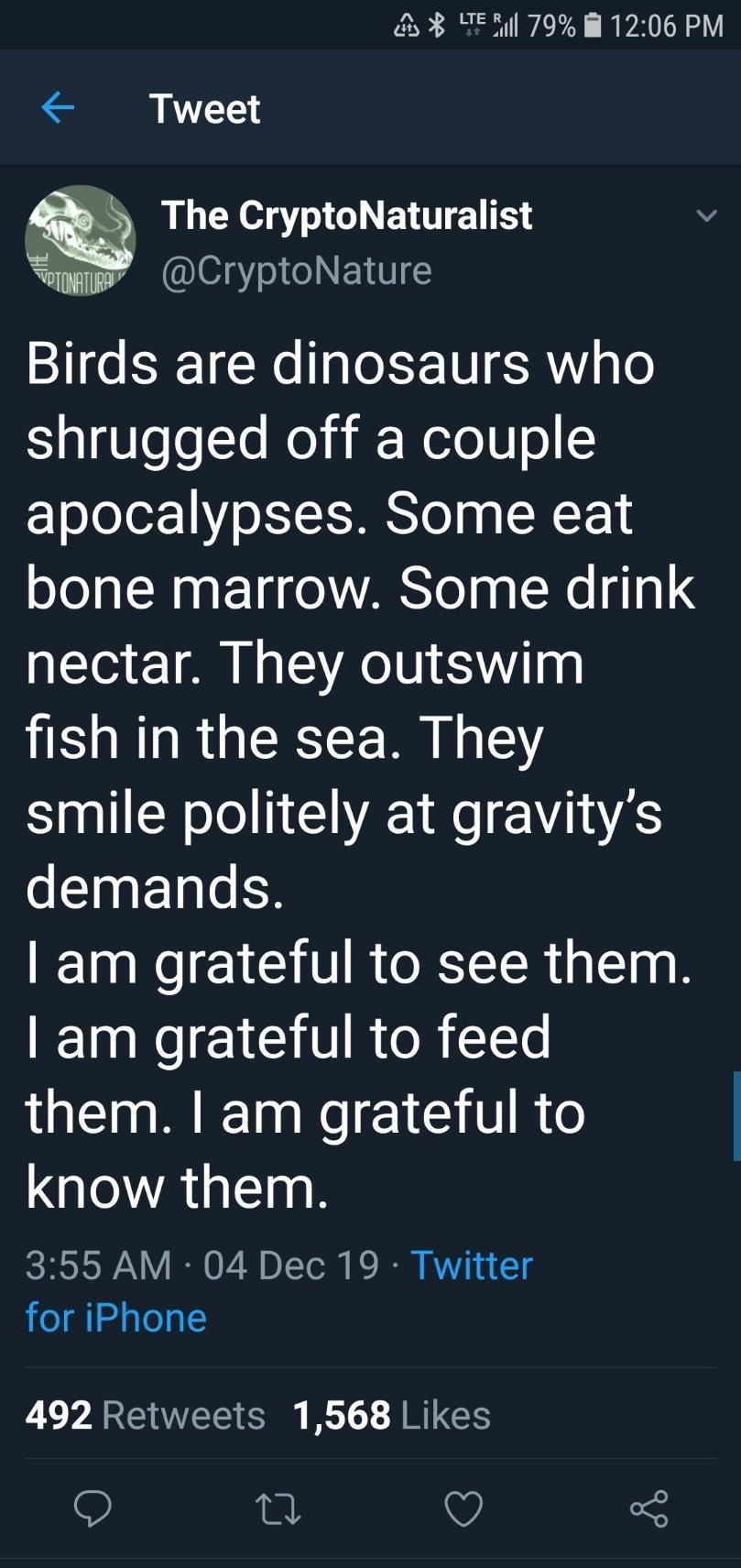 birds+are+pretty+incredible