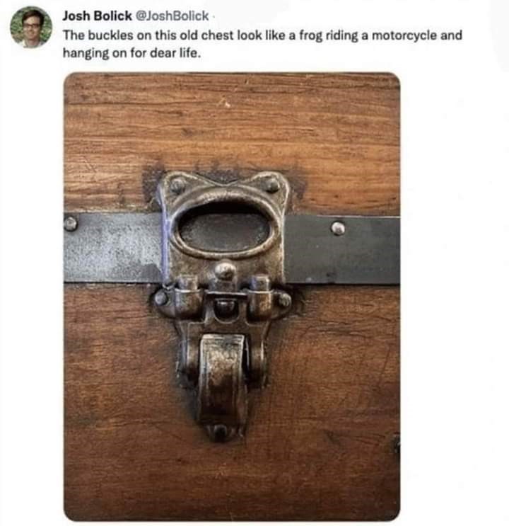 a+frog+riding+a+motorcycle