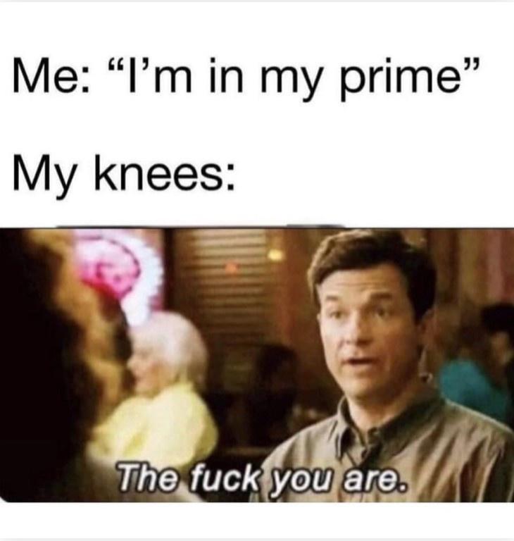 my+knees+did+not+get+the+memo