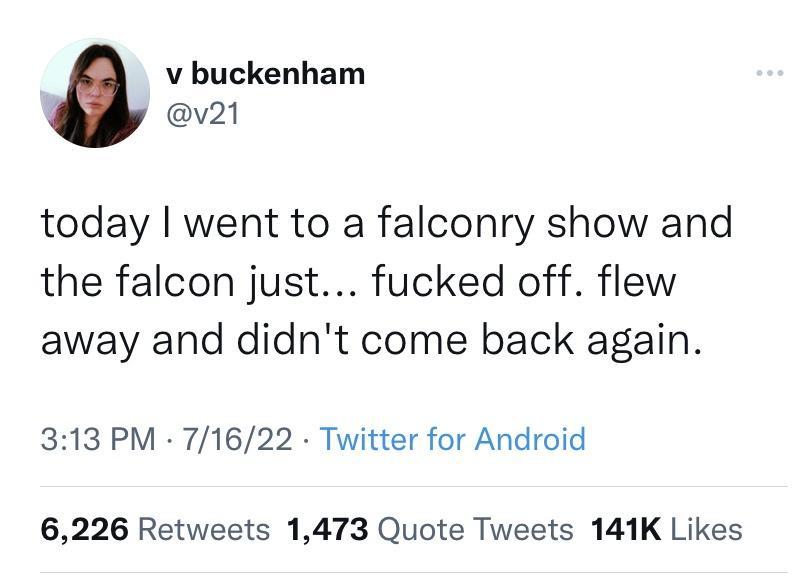 freedom+falcon