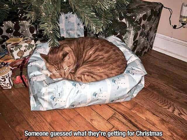 present+spoiled