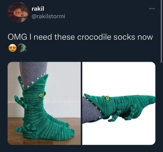 these+crocodile+socks+are+awesome