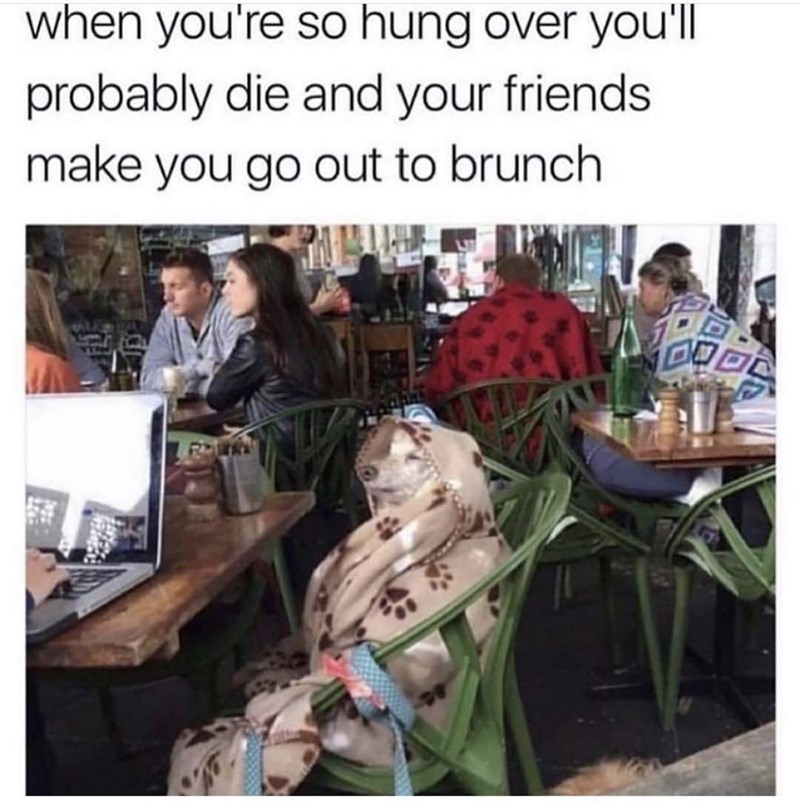 one+mimosa+and+you%26%238217%3Bll+be+right+as+rain