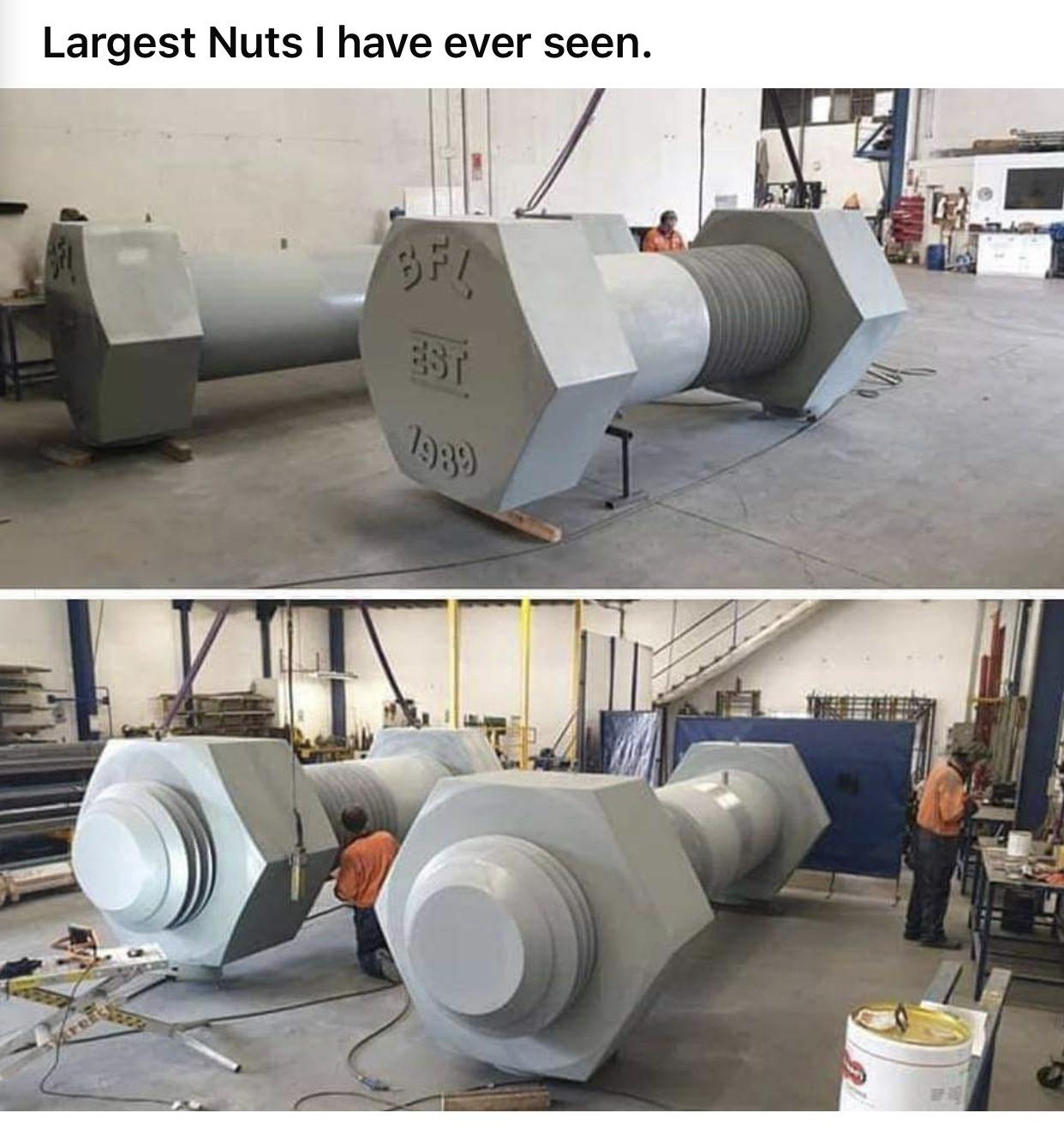 huge+nuts