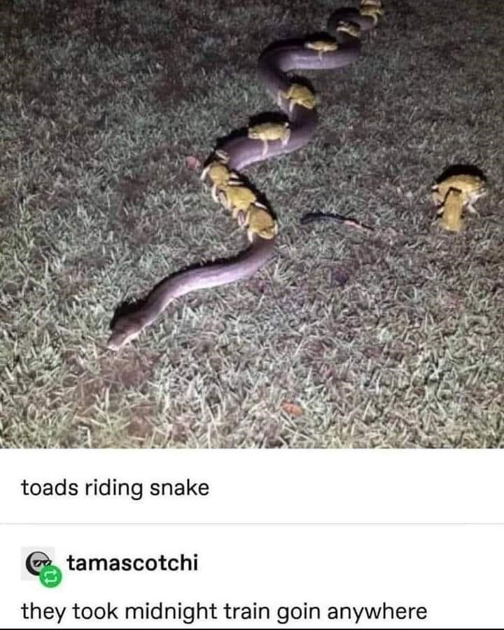 it+wasn%26%238217%3Bt+the+destination+that+mattered.+It+was+the+friends+they+made+along+the+way