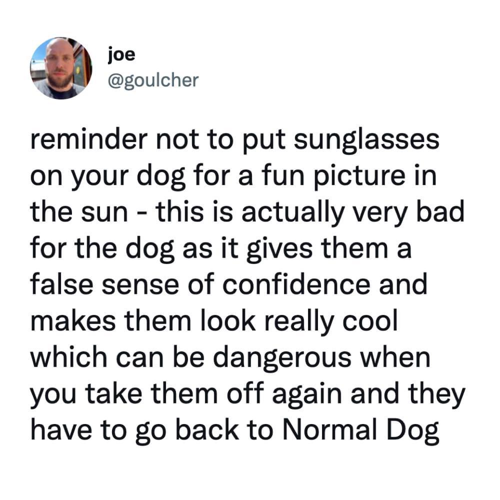 they+can+never+be+a+normal+dog+again