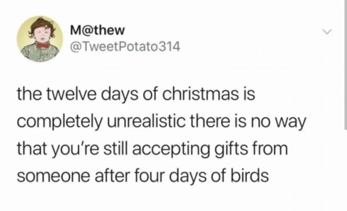 one+day+of+birds+is+too+many%2C+tbh